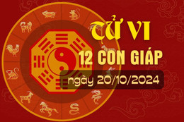 Tử vi hàng ngày - Tử vi 12 con giáp hôm nay ngày 20/10/2024.