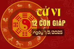 Tử vi hàng ngày - Tử vi 12 con giáp hôm nay ngày 1/3/2025.