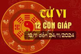 Tử vi tuần mới từ ngày 18/11 - 24/11/2024 của 12 con giáp.