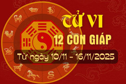 Tử vi tuần mới từ ngày 10/11 đến 16/11/2025 của 12 con giáp.