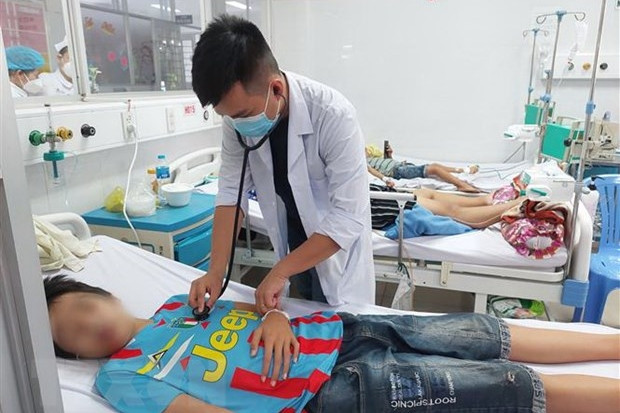 115 trường hợp tử vong do sốt xuất huyết trong gần 11 tháng qua hình ảnh 1 115 trường hợp tử vong do sốt xuất huyết trong gần 11 tháng qua