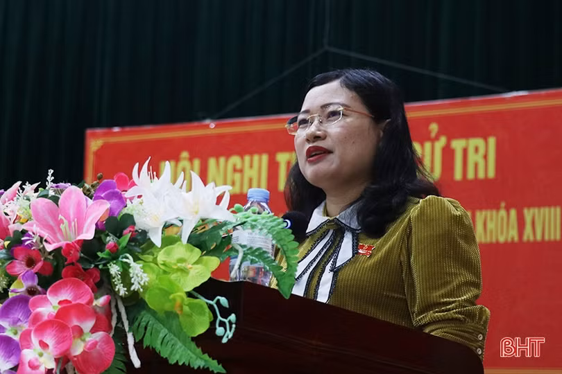 Đại biểu Quốc hội, HĐND tỉnh tiếp xúc cử tri huyện Kỳ Anh, Thạch Hà