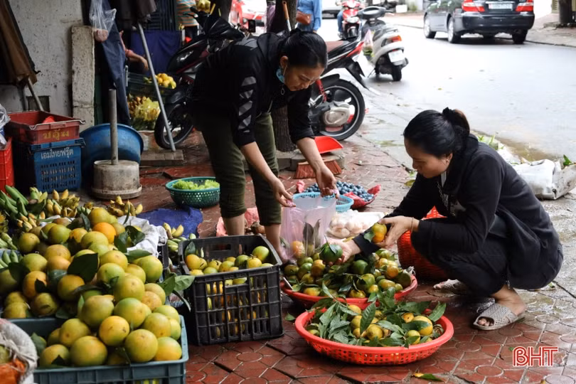 Giá cam Hà Tĩnh tăng cao, sức mua còn thấp