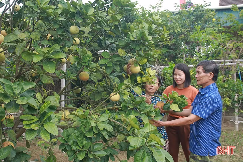 Bí thư chi bộ khéo làm dân vận trên quê hương cụ Nguyễn