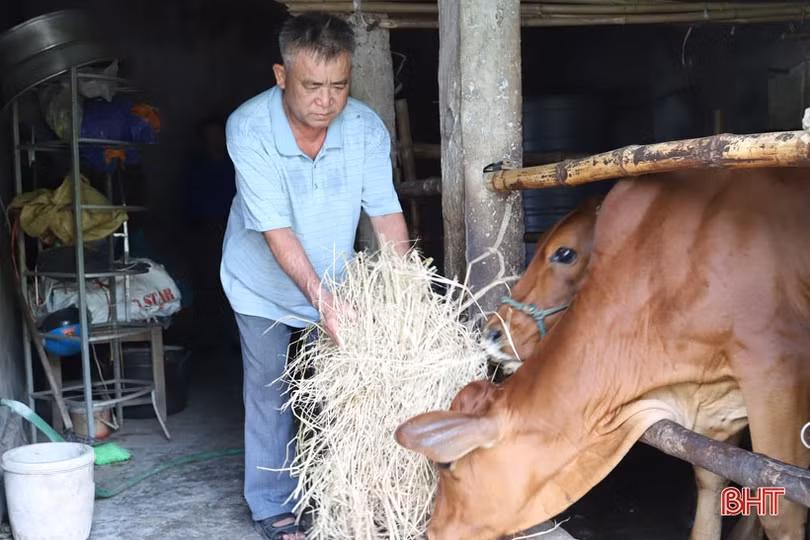 Giúp người mù Hà Tĩnh tự tin hòa nhập cộng đồng