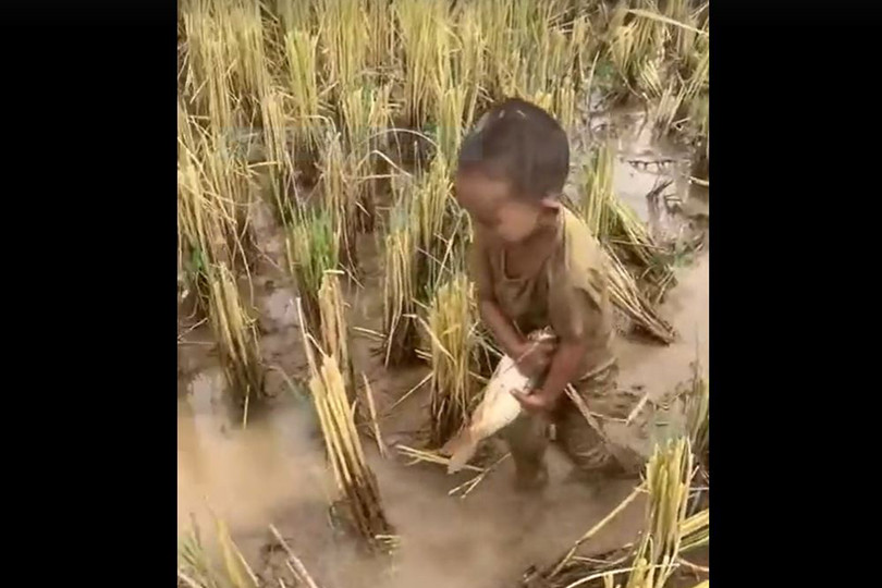 Bắt hàng chục con cá trên sông bằng máy xúc