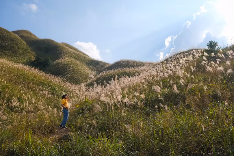Mùa lau ở Bình Liêu