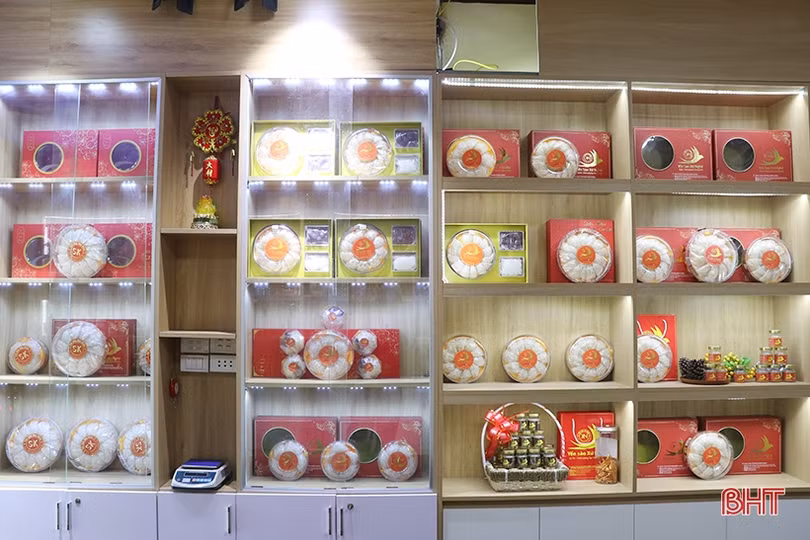 Nuôi và chế biến yến sào chất lượng OCOP 4 sao ngay trên đất Hà Tĩnh