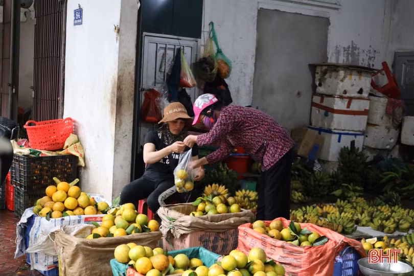 Giá cam Hà Tĩnh tăng cao, sức mua còn thấp