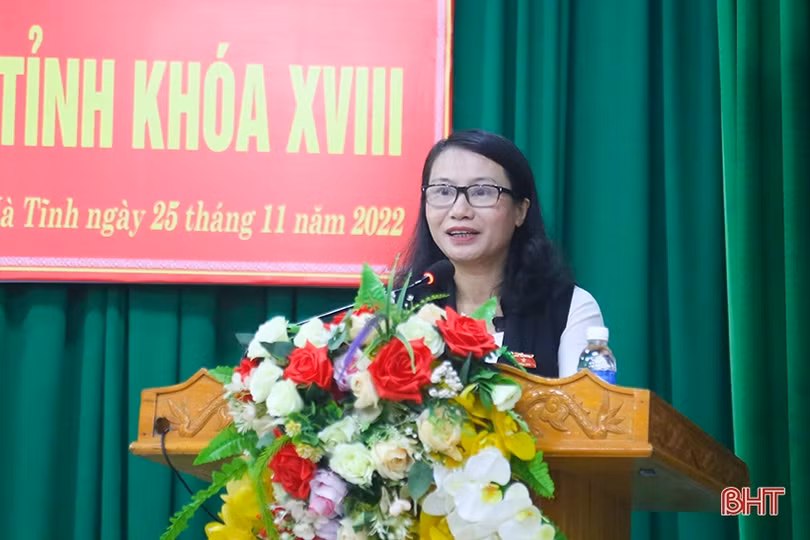 Cử tri TP Hà Tĩnh đề nghị khắc phục tình trạng quy hoạch “treo”