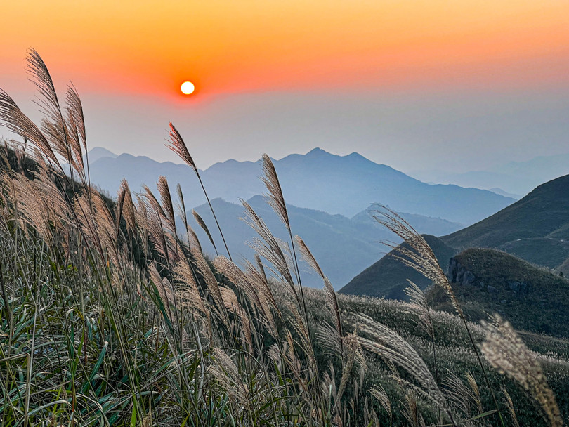 Mùa lau ở Bình Liêu