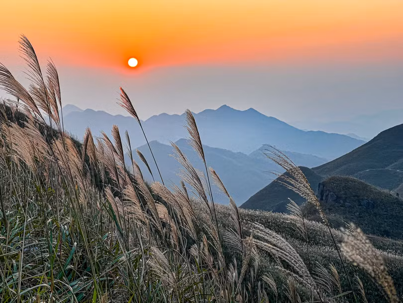 Mùa lau ở Bình Liêu