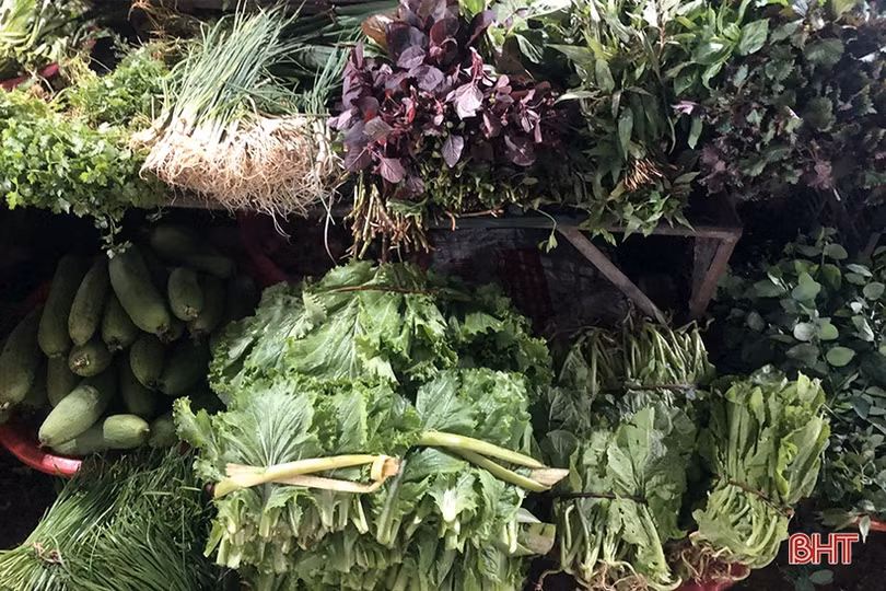 Nguồn cung dồi dào, giá rau xanh tại Hà Tĩnh “hạ nhiệt”