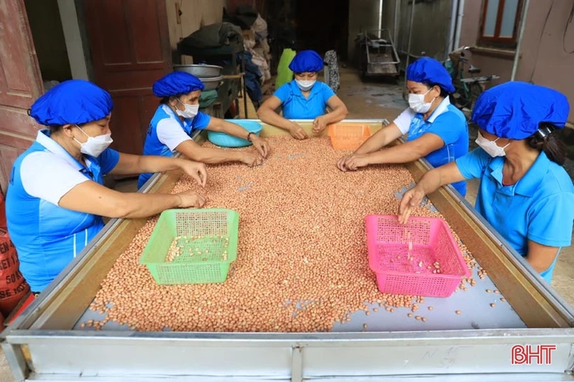 Từ đại lý thu mua nông sản trở thành nhà sản xuất sản phẩm OCOP 3 sao