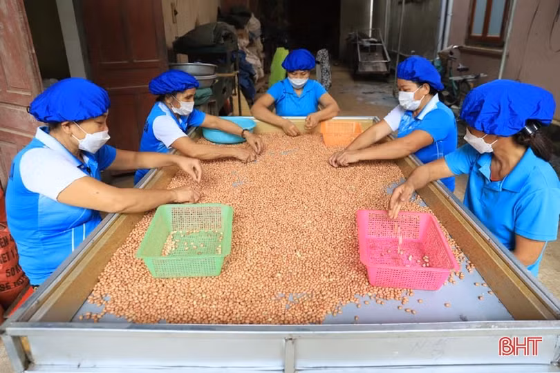 Từ đại lý thu mua nông sản trở thành nhà sản xuất sản phẩm OCOP 3 sao