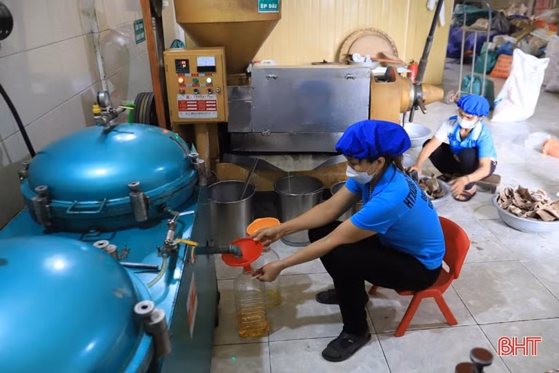 Từ đại lý thu mua nông sản trở thành nhà sản xuất sản phẩm OCOP 3 sao