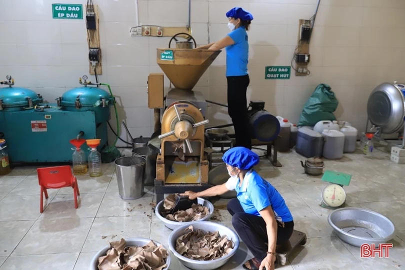 Từ đại lý thu mua nông sản trở thành nhà sản xuất sản phẩm OCOP 3 sao