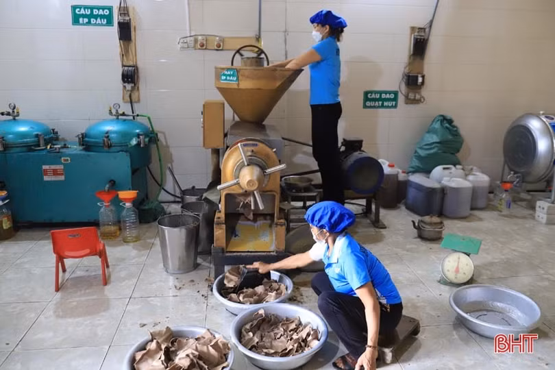 Từ đại lý thu mua nông sản trở thành nhà sản xuất sản phẩm OCOP 3 sao