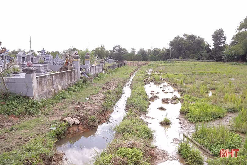 “Vô tư” bao chiếm đất nông nghiệp “để dành” xây huyệt mộ ở TP Hà Tĩnh