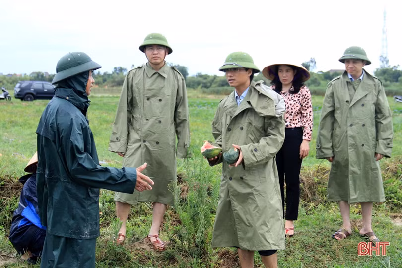Ảnh hưởng bão số 2, hơn 1.700 ha lúa, 5 ha dưa hấu ở Kỳ Anh bị hư hại