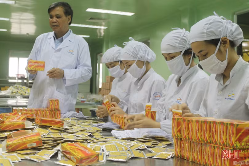 Hadiphar và hành trình vươn ra biển lớn