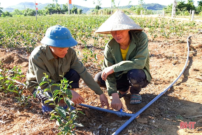 “Hạnh phúc khi được mang kiến thức về cống hiến cho quê hương”