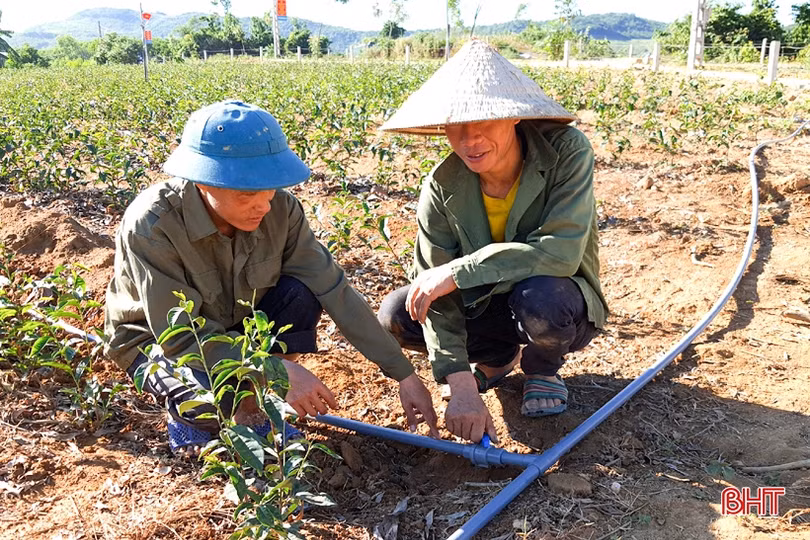 “Hạnh phúc khi được mang kiến thức về cống hiến cho quê hương”