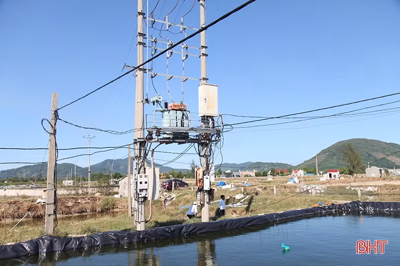 Hạ tầng lưới điện “làm khó” người dân ở khu nuôi trồng thuỷ sản Bãi Rào