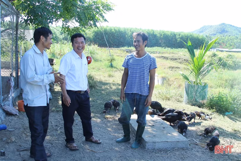 Giám đốc HTX doanh thu hơn 15 tỷ/năm ở Hà Tĩnh khởi nghiệp... từ 2 triệu đồng