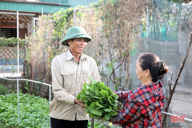Bí quyết giữ vườn rau sạch, xanh mướt trong mùa nắng của nông dân Hà Tĩnh