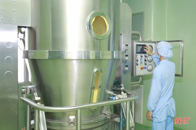 Hadiphar và hành trình vươn ra biển lớn