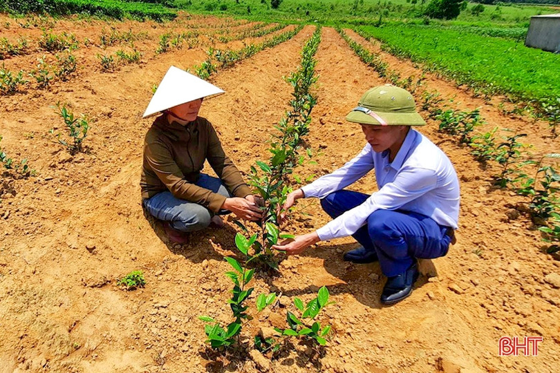 “Hạnh phúc khi được mang kiến thức về cống hiến cho quê hương” ảnh 6 “Hạnh phúc khi được mang kiến thức về cống hiến cho quê hương”