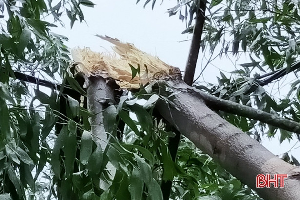 Dông lốc gây mất điện diện rộng, Điện lực Đức Thọ xử lý sự cố trong đêm