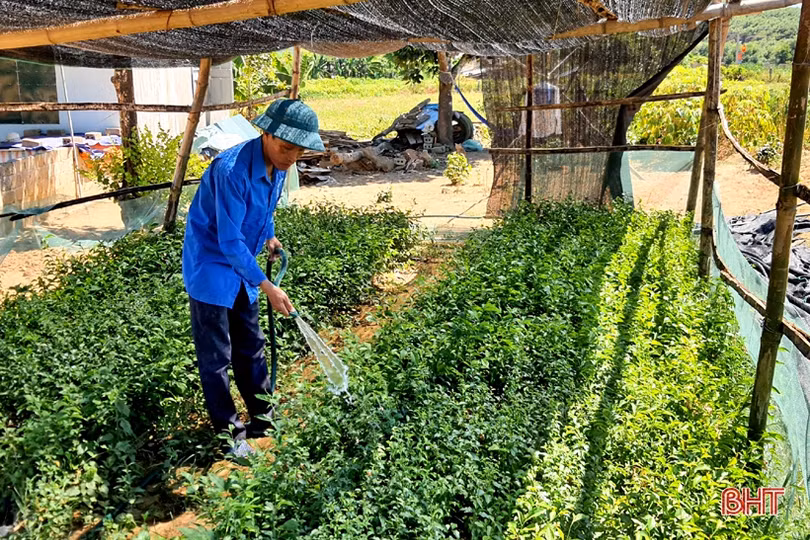 “Hạnh phúc khi được mang kiến thức về cống hiến cho quê hương”