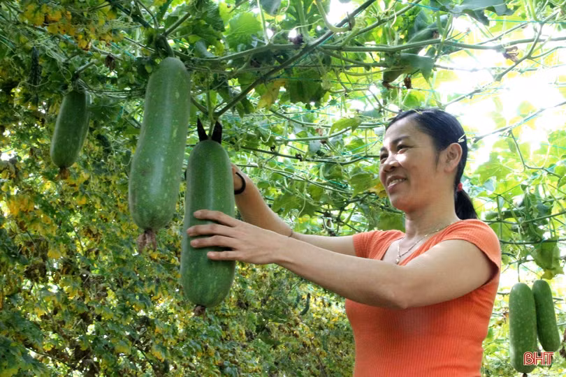 Bí quyết để rau xào luôn xanh mướt, bóng đẹp, không hề thâm đen!