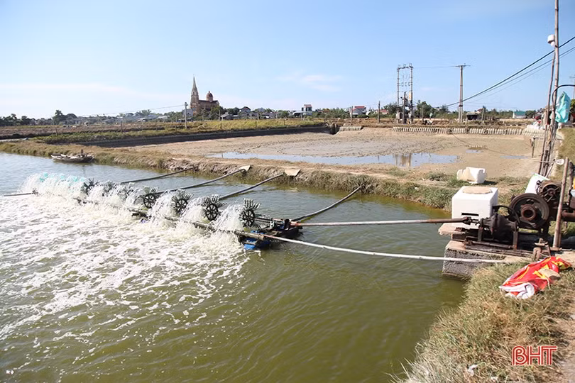 Hạ tầng lưới điện “làm khó” người dân ở khu nuôi trồng thuỷ sản Bãi Rào