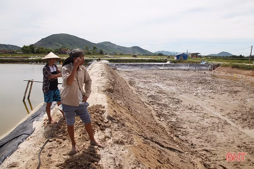 Hạ tầng lưới điện “làm khó” người dân ở khu nuôi trồng thuỷ sản Bãi Rào
