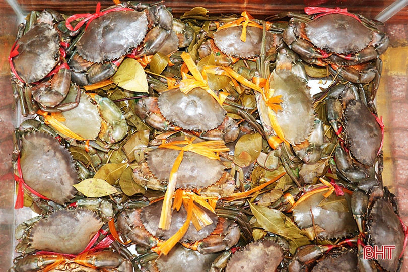 Sản phẩm OCOP, nông nghiệp, tiểu thủ công nghiệp của TP Hà Tĩnh thu hút đại biểu bên lề Đại hội Đảng bộ TP Hà Tĩnh