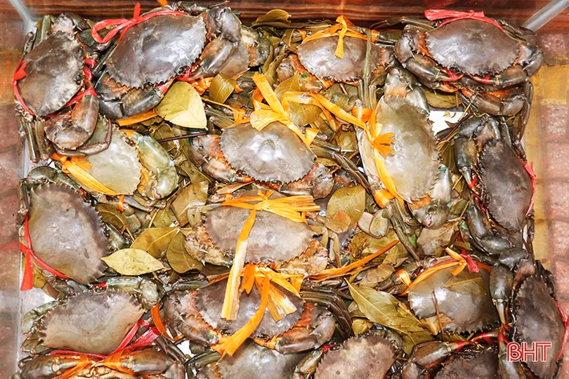 Sản phẩm OCOP, nông nghiệp, tiểu thủ công nghiệp của TP Hà Tĩnh thu hút đại biểu bên lề Đại hội Đảng bộ TP Hà Tĩnh