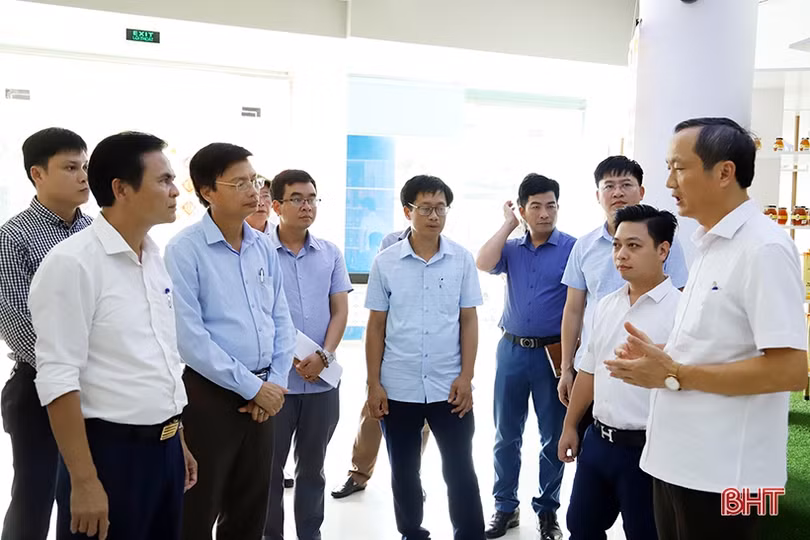 Tạo kênh phân phối riêng, thúc đẩy tiêu thụ sản phẩm OCOP Hà Tĩnh