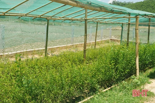 “Qua công trình, chúng tôi muốn gửi gắm sự kỳ vọng vào nhiệm kỳ mới của huyện, xã”