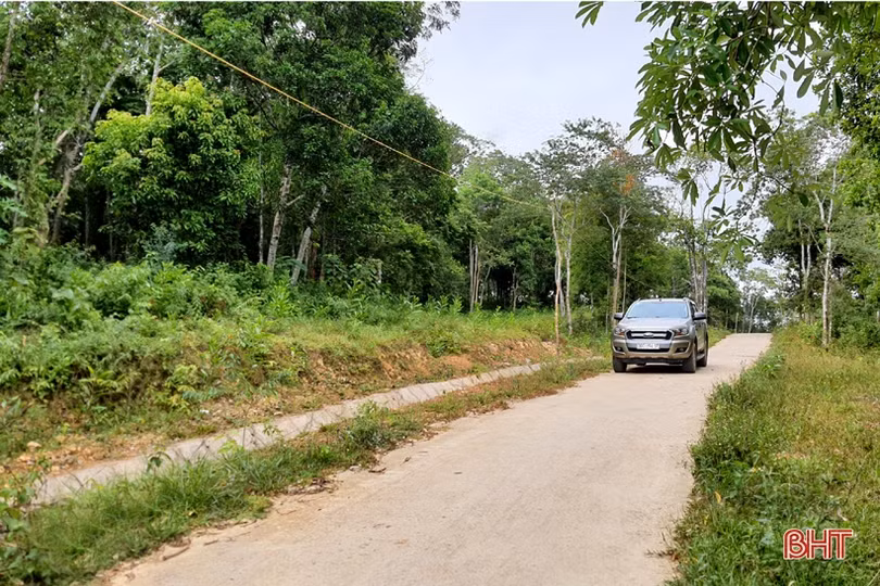 Khám phá trang trại cam Khe Xai ở vùng thượng Kỳ Anh