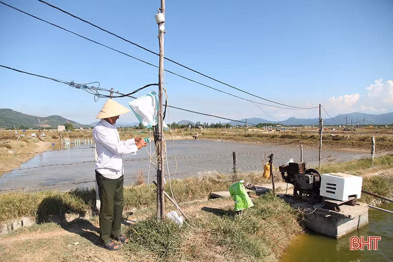 Hạ tầng lưới điện “làm khó” người dân ở khu nuôi trồng thuỷ sản Bãi Rào