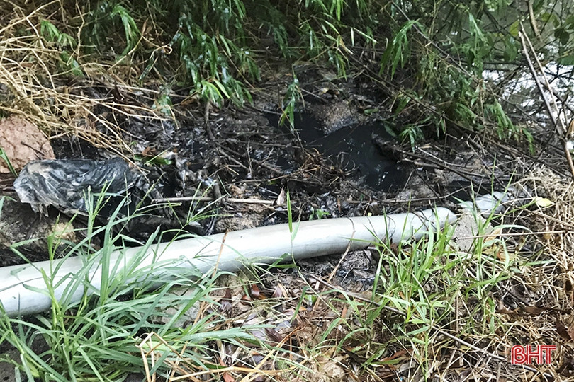 Cảnh sát Môi trường Hà Tĩnh bắt quả tang trại chăn nuôi của Công ty TNHH Khánh Giang xả nước thải chưa qua xử lý