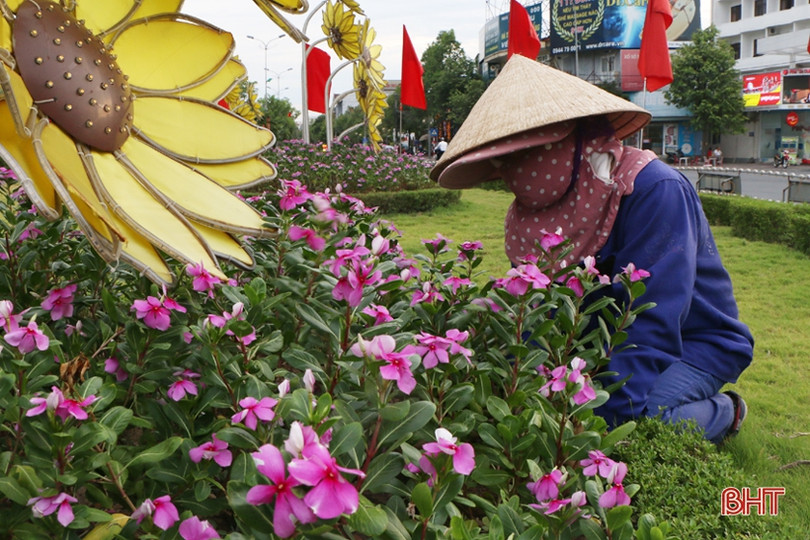 Thành Sen rực rỡ cờ hoa trước thềm Đại hội Đảng bộ thành phố Hà Tĩnh