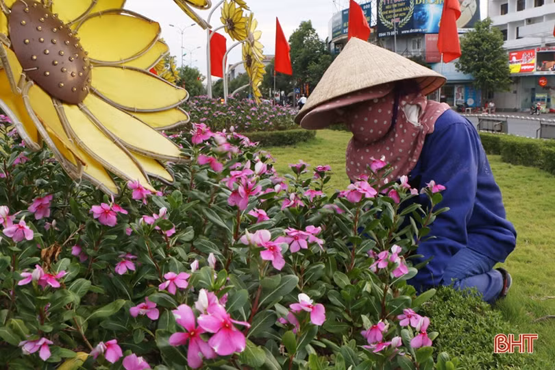 Thành Sen rực rỡ cờ hoa trước thềm Đại hội Đảng bộ thành phố Hà Tĩnh