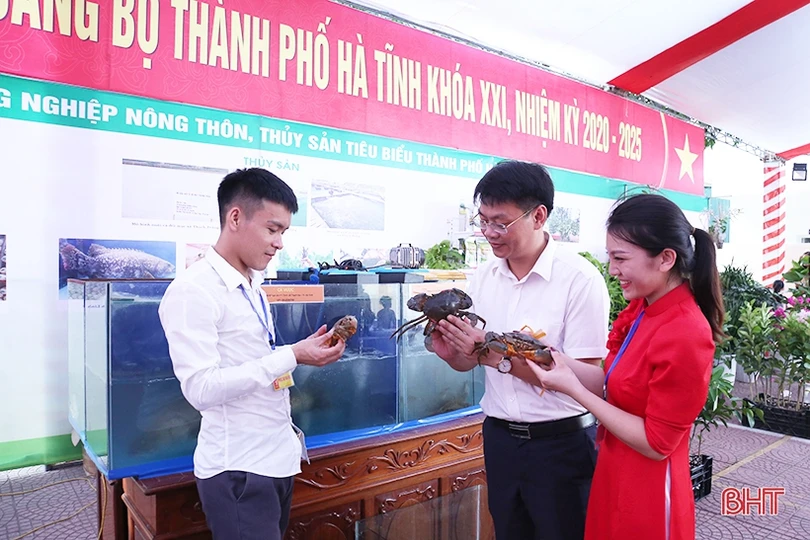 Sản phẩm OCOP, nông nghiệp, tiểu thủ công nghiệp của TP Hà Tĩnh thu hút đại biểu bên lề Đại hội Đảng bộ TP Hà Tĩnh