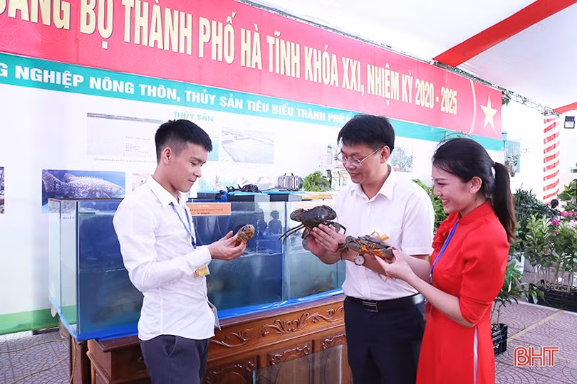 Sản phẩm OCOP, nông nghiệp, tiểu thủ công nghiệp của TP Hà Tĩnh thu hút đại biểu bên lề Đại hội Đảng bộ TP Hà Tĩnh