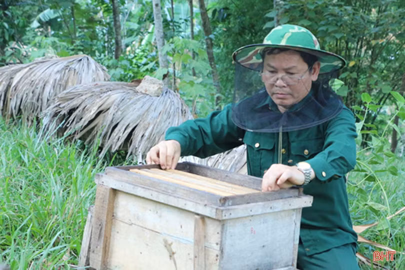 Người dân miền núi Hà Tĩnh phấn khởi vì mật ong được giá