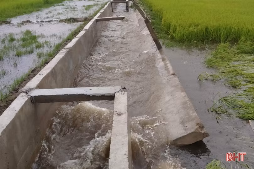 Ảnh hưởng bão số 2, hơn 1.700 ha lúa, 5 ha dưa hấu ở Kỳ Anh bị hư hại